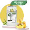 bột pudding plan