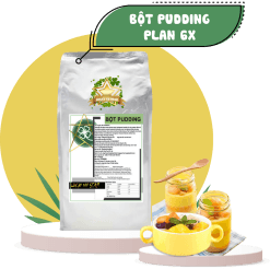 bột pudding plan