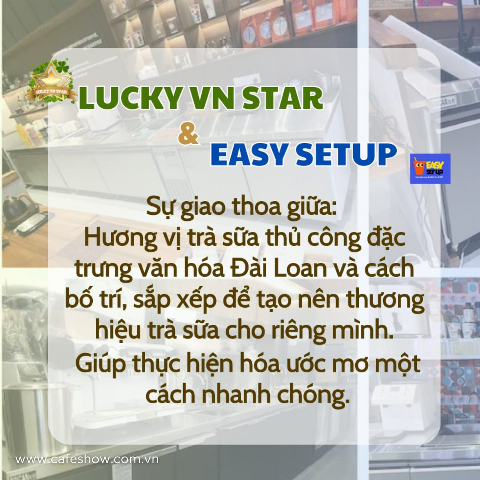 Lucky VN Star x Easy Set Up
