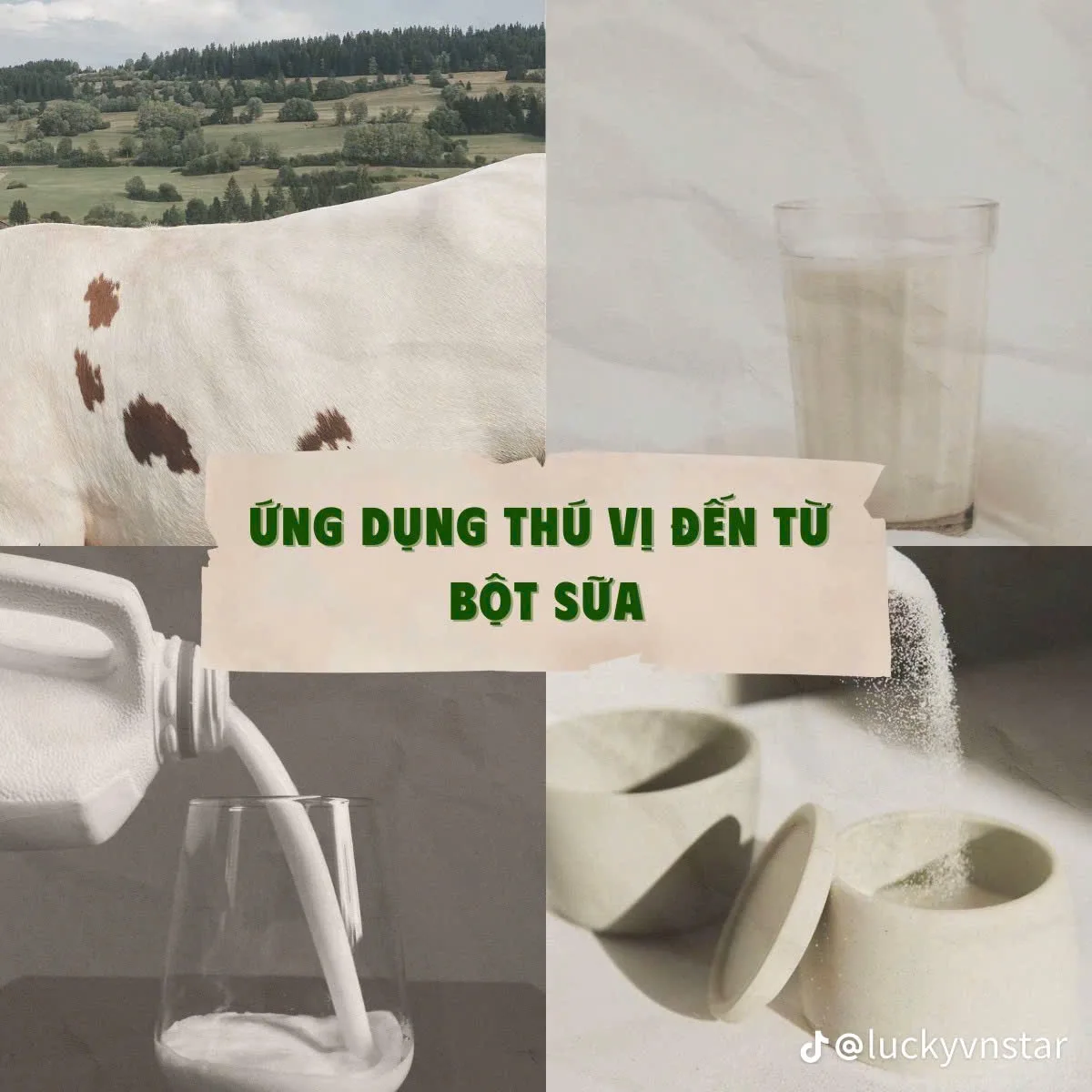 Ly trà sữa béo mịn pha bằng bột sữa creamer LS - T70.