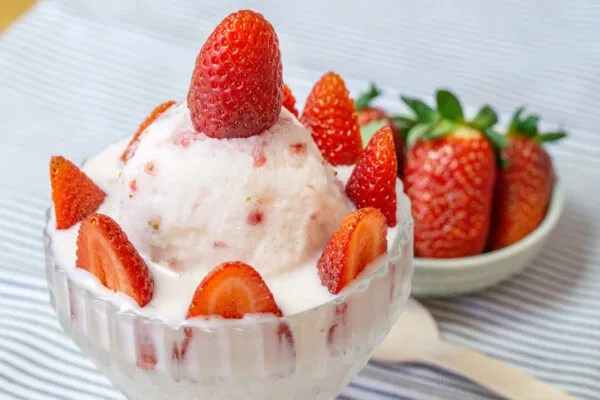 Bột làm bingsu vị sữa truyền thống được ưa chuộng nhất hiện nay